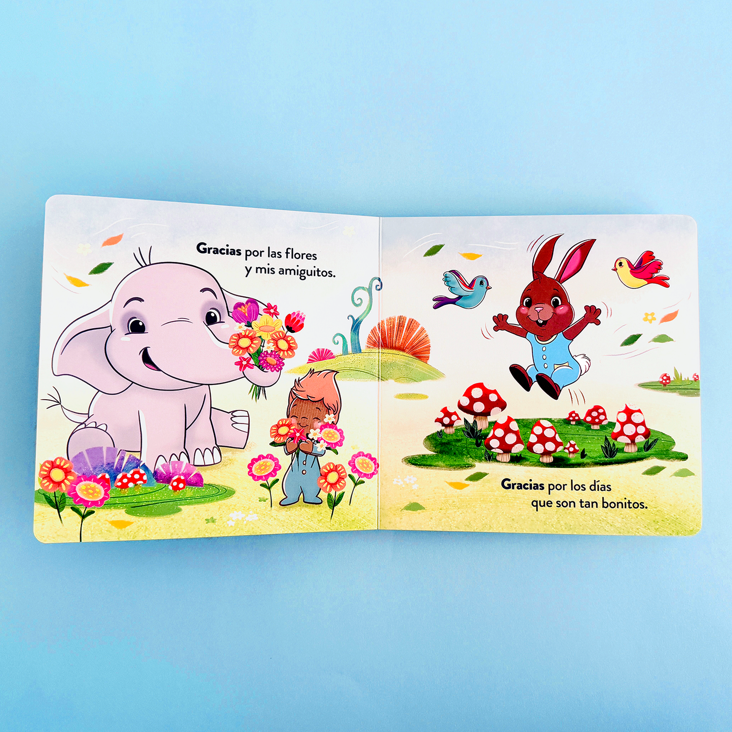 Thank you, Gracias: A Bilingual Lift-the-Flap Book