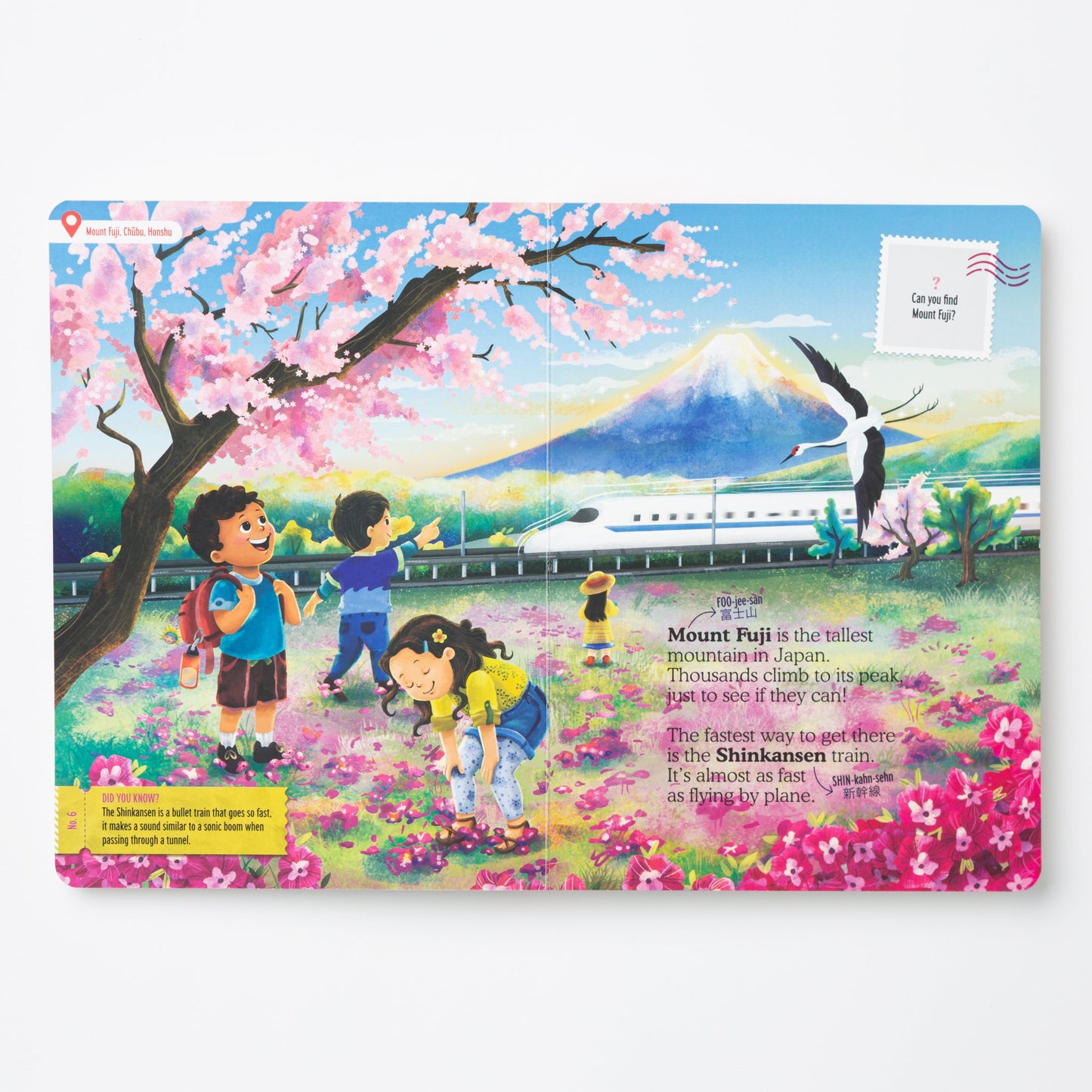 Japan Treasure Quest Book